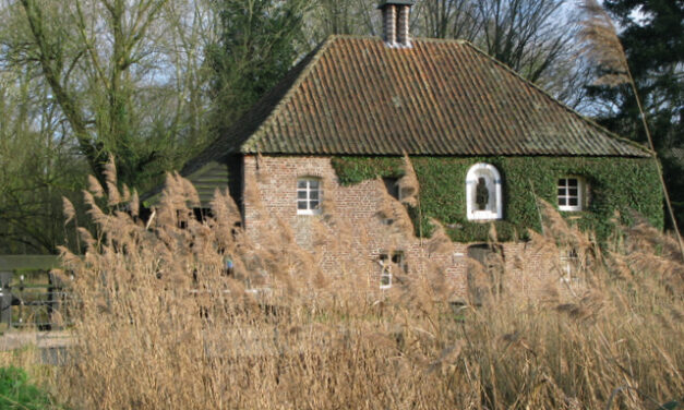 Wandeling ‘Ontdek het Leudal’ – cultuur en natuur