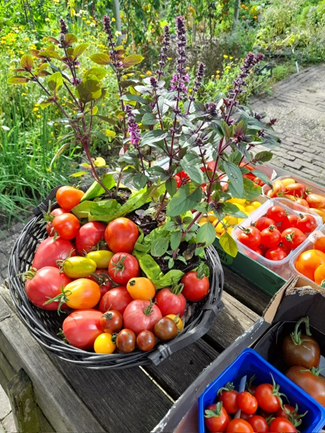 Open tuindag bij Velt Leudal