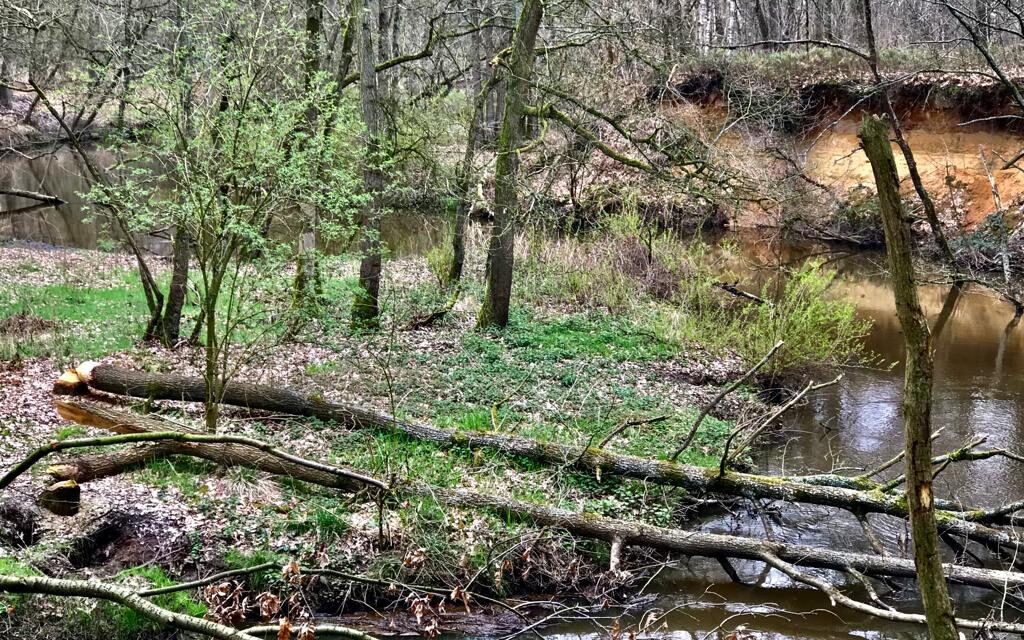 Driestromenwandeling Leudal