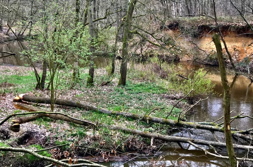 Driestromenwandeling Leudal