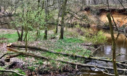 Driestromenwandeling Leudal