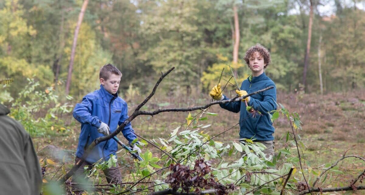 Natuurwerkdag: Help mee het prachtige Leudal te beschermen