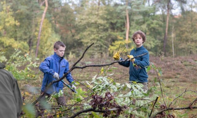 Natuurwerkdag: Help mee het prachtige Leudal te beschermen