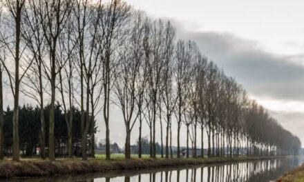 Lezing over de Noordervaart