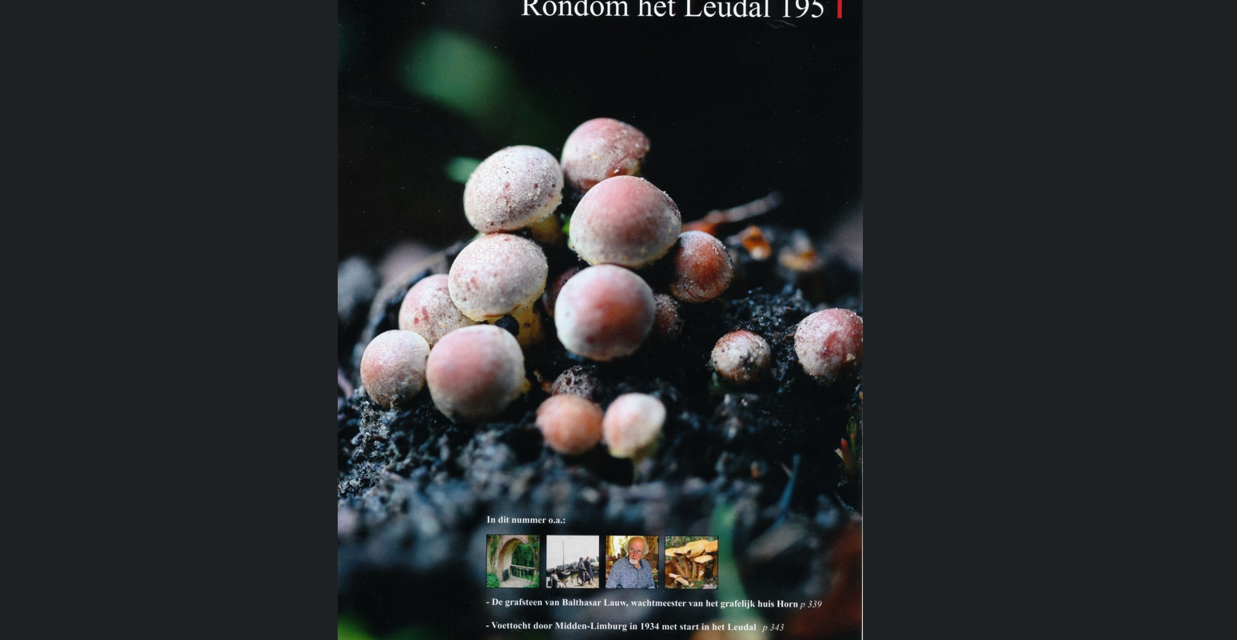 Herfstnummer “Rondom het Leudal”  no.195 is uit