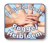 De Goede Doelen, Actie Rabobank